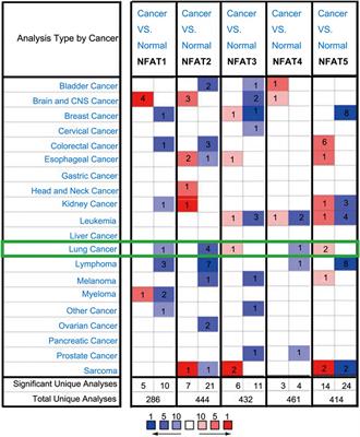 Expression, Prognosis and Gene Regulation Network of NFAT Transcription Factors in Non-Small Cell Lung Cancer